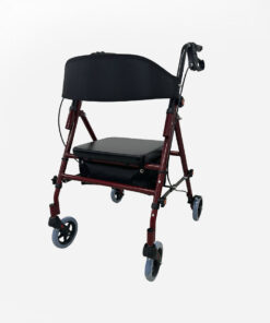 Andador Rollator Desmont