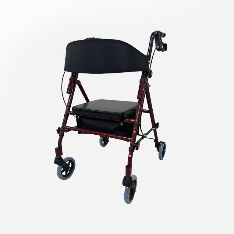 Andador Rollator Desmont